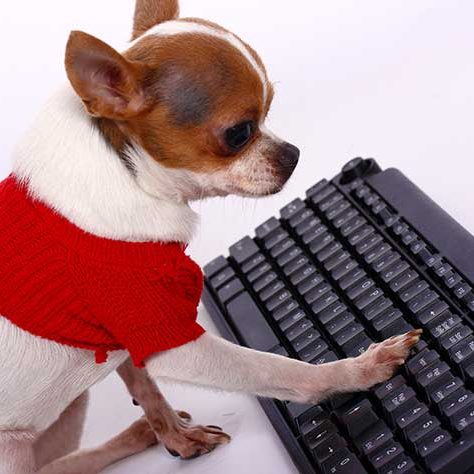 お店の商品を目的に会わせてご確認ください。